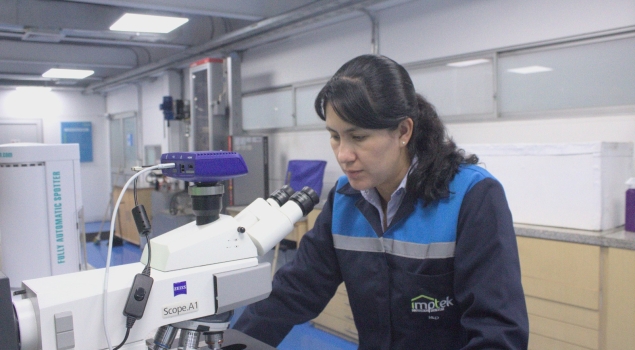 MUJERES TRANSFORMAN LA CONSTRUCCIÓN Y LA TECNOLOGÍA